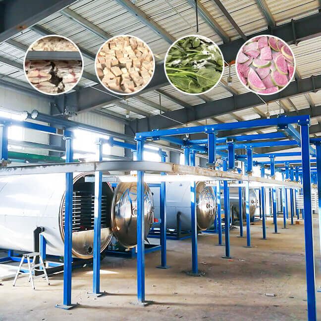 Ordinary Type Small Freeze Dryer